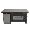 Canopus Executive Desk