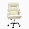 Modern Executive Padded Arms High Back Office Chair Off White K-9955OW