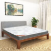 K-Ortho Premium Medical Mattress (Extra Firm Feel)