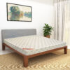 K-Ortho Plus Medical Mattress (Extra Firm Feel)