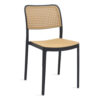 Aroma Plastic Chair Color (Black/Brown)