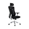 Executive Mesh Office Chair Headrest and Lumbar Support Comfortable High-Back Swivel 360? Black