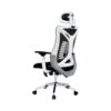 Executive Mesh Office Chair Headrest and Lumbar Support Comfortable High-Back Swivel 360? Black