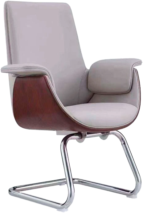 Collion Visitor Leather Chair