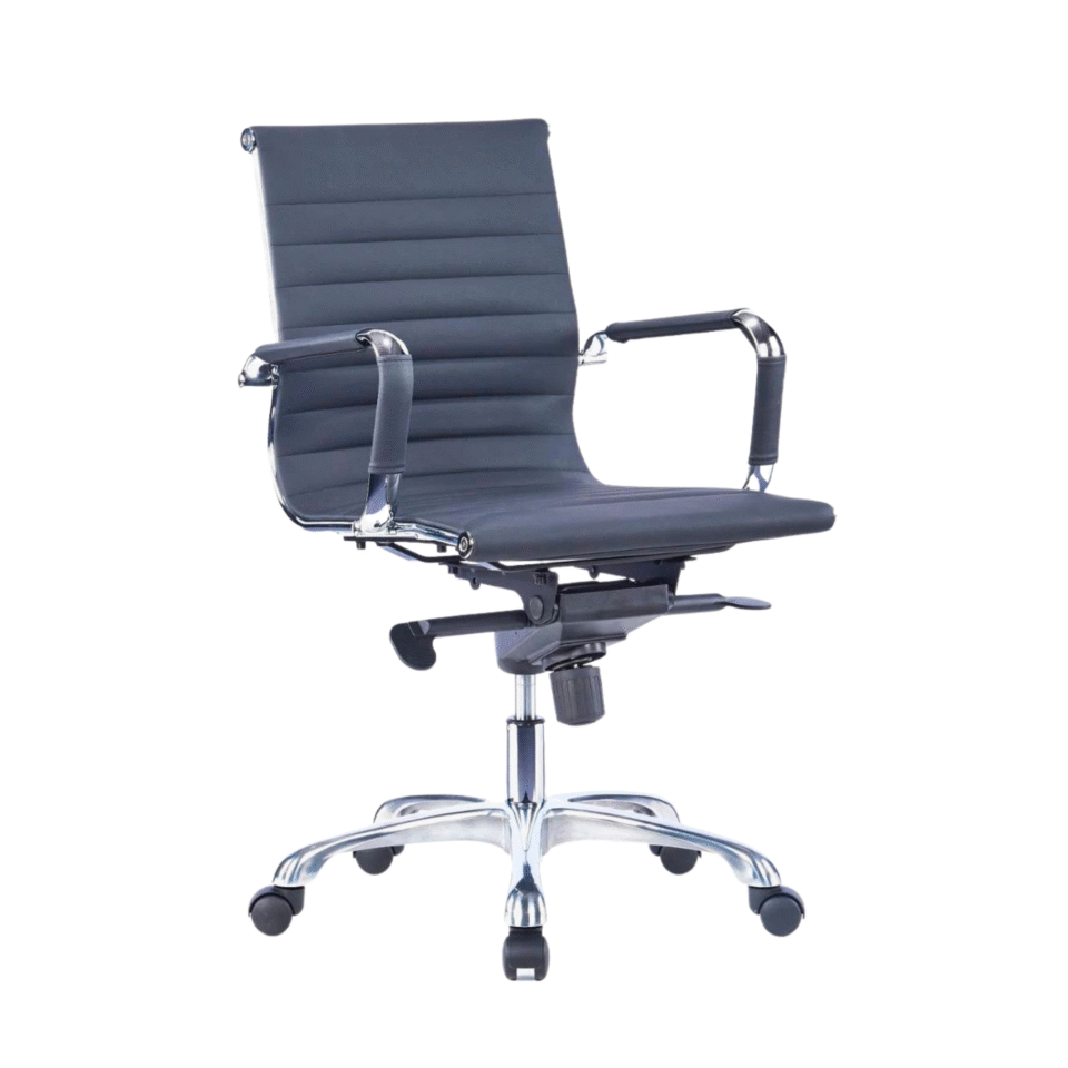 Egora Medium Back Leather Chair