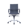Egora Medium Back Leather Chair
