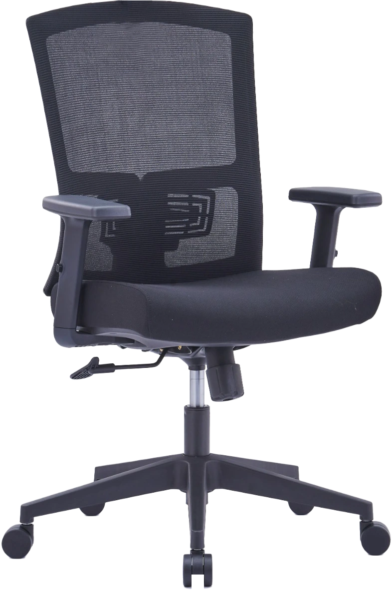 Barrela Ergonomic Mesh Chair Medium Back…