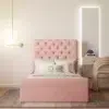 Blush Velvet Tufted Panel Bed