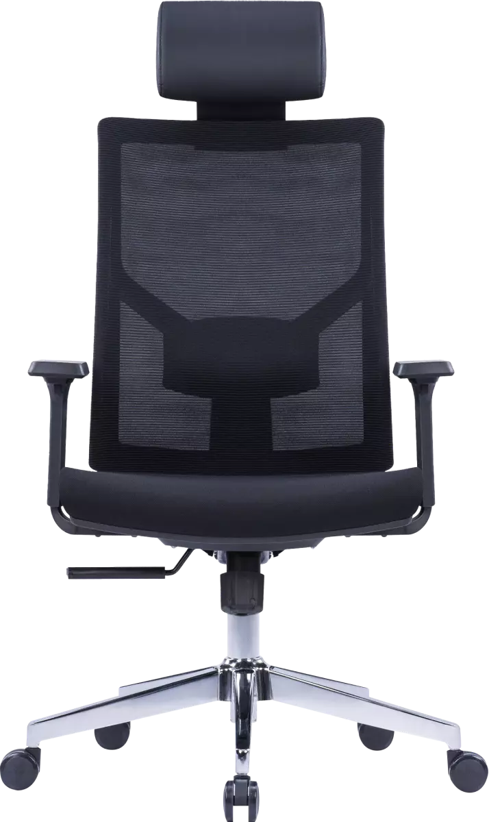 Spacio Ergonomic Mesh Chair High Back…