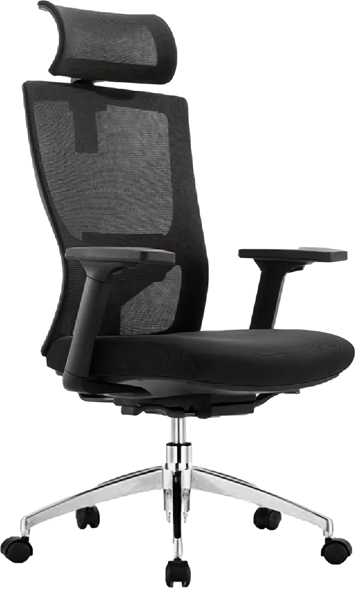Apolo Ergonomic Mesh Chair High Back…