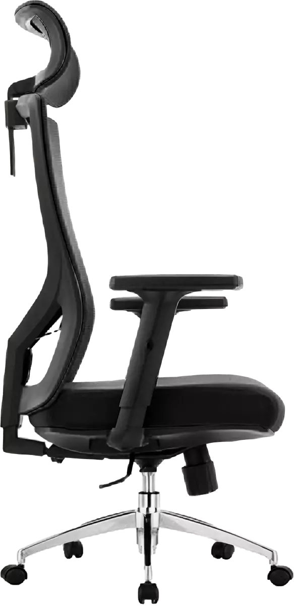 Apolo Ergonomic Mesh Chair High Back…