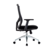 Apolo Ergonomic Mesh Chair Medium Back