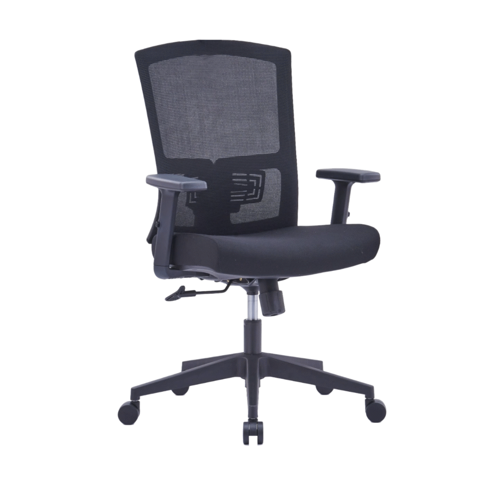 Barrela Ergonomic Mesh Chair Medium Back…