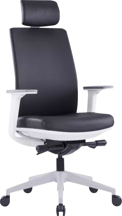 Alixa Office Chair High Back