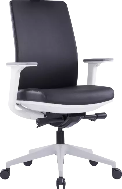 Alixa Office Chair Medium Back