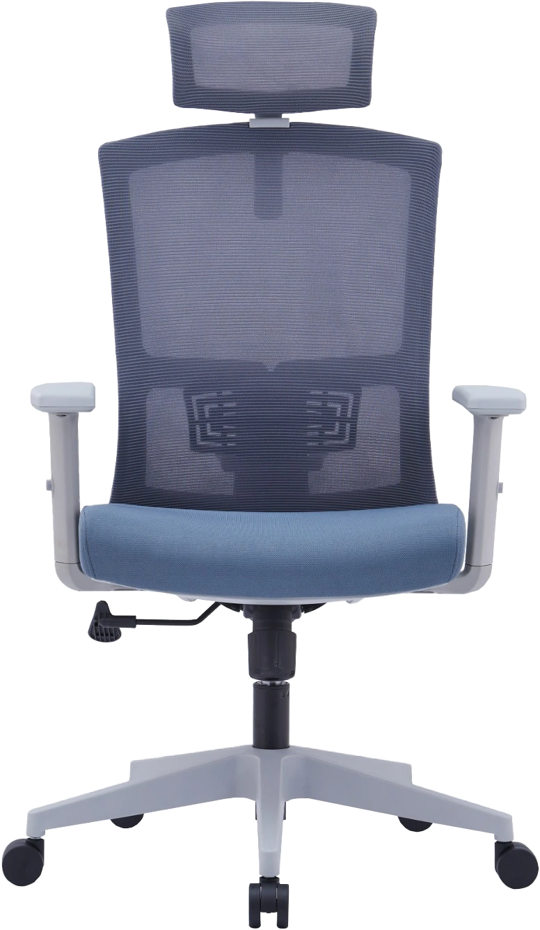 Drako Ergonomic Mesh Chair High Back…