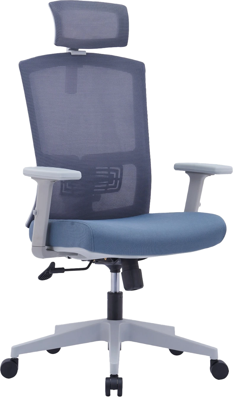 Drako Ergonomic Mesh Chair High Back…