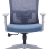 Drako Ergonomic Mesh Chair Medium Back