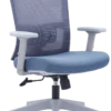 Drako Ergonomic Mesh Chair Medium Back