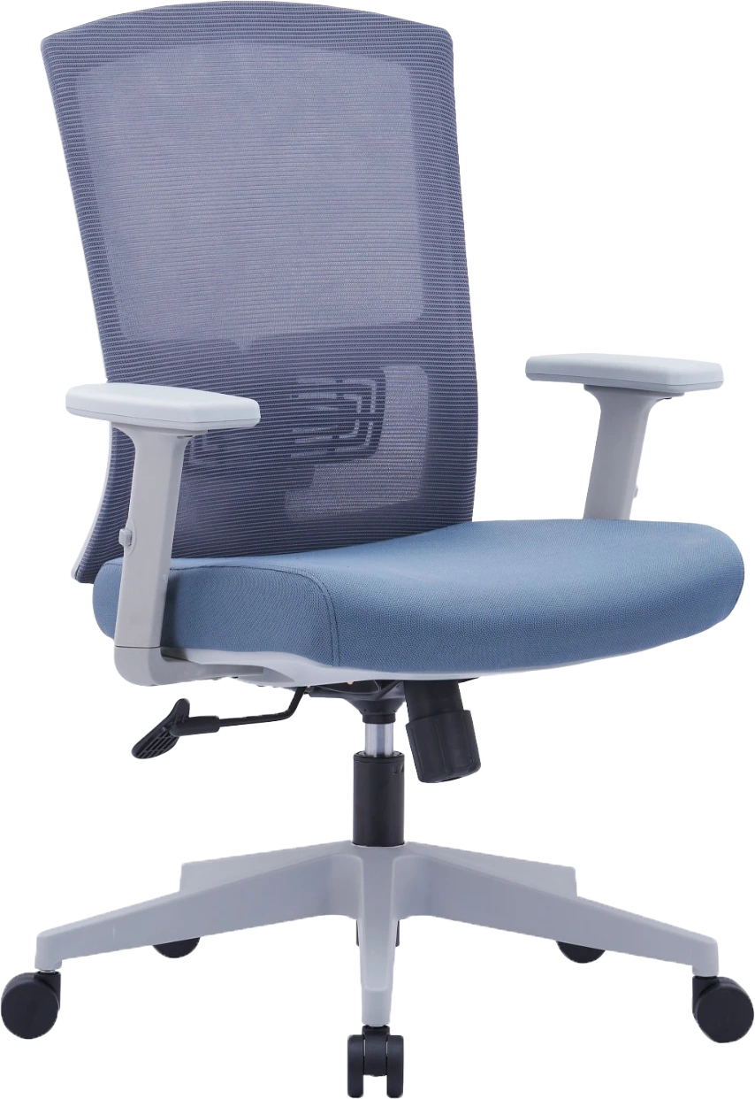 Drako Ergonomic Mesh Chair Medium Back…
