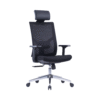 Spacio Ergonomic Mesh Chair High Back