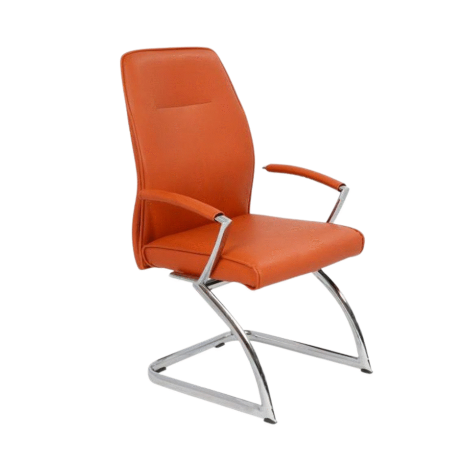 Dolfin Visitor Leather Chair