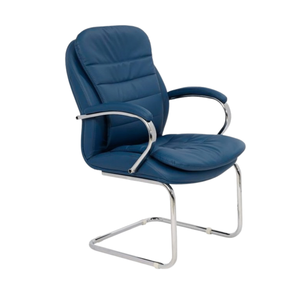Tangu Visitor Leather Chair