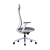 Markas Ergonomic Mesh Chair High Back