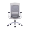 Markas Ergonomic Mesh Chair Medium Back