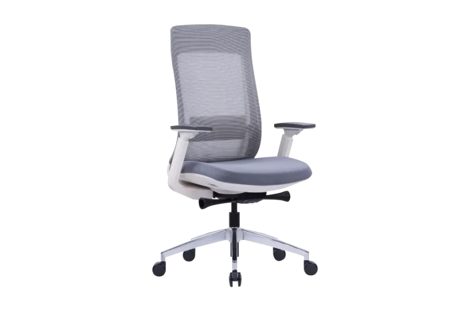 Markas Ergonomic Mesh Chair Medium Back…