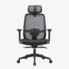 Percho Ergonomic Mesh Chair High Back