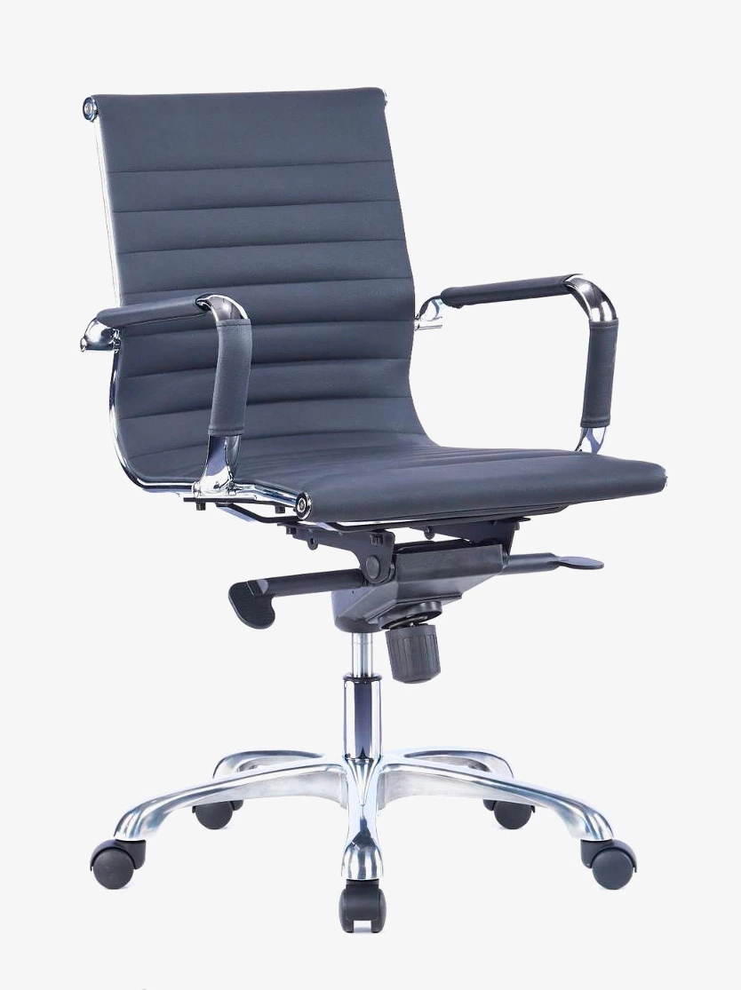 Egora Medium Back Leather Chair