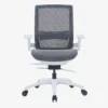Ebersa Ergonomic Medium Back Chair