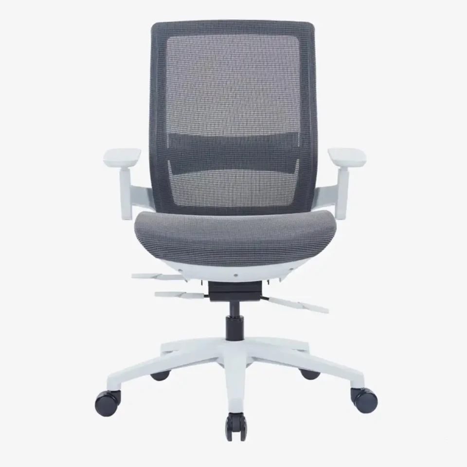 Ebersa Ergonomic Medium Back Chair