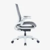 Ebersa Ergonomic Medium Back Chair