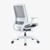 Ebersa Ergonomic Medium Back Chair