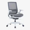 Ebersa Ergonomic Medium Back Chair