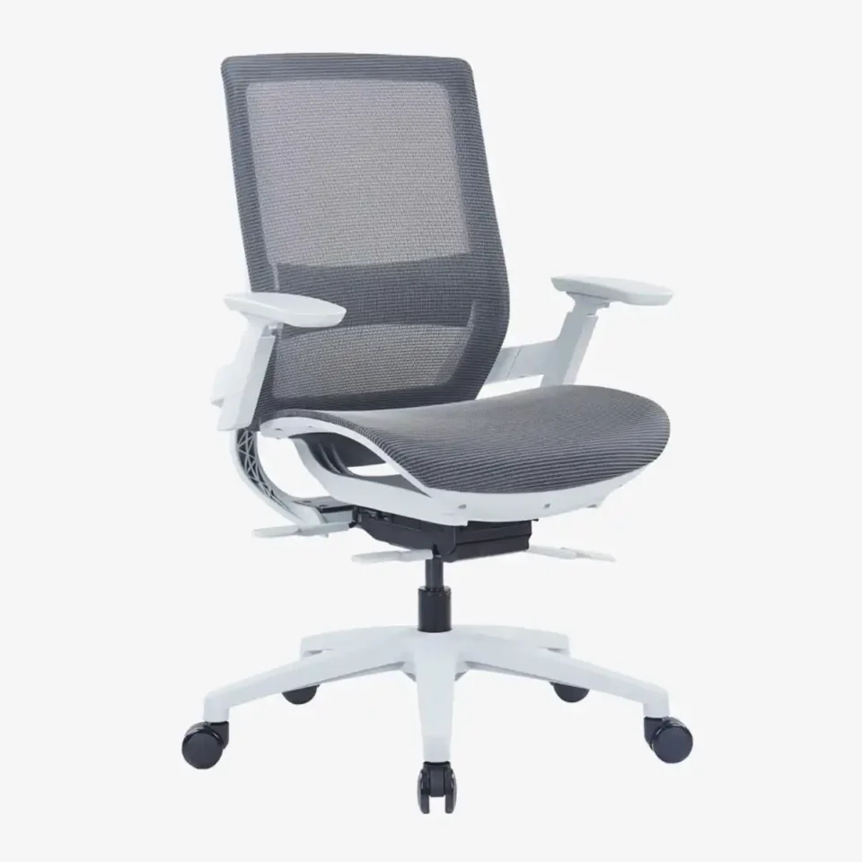 Ebersa Ergonomic Medium Back Chair