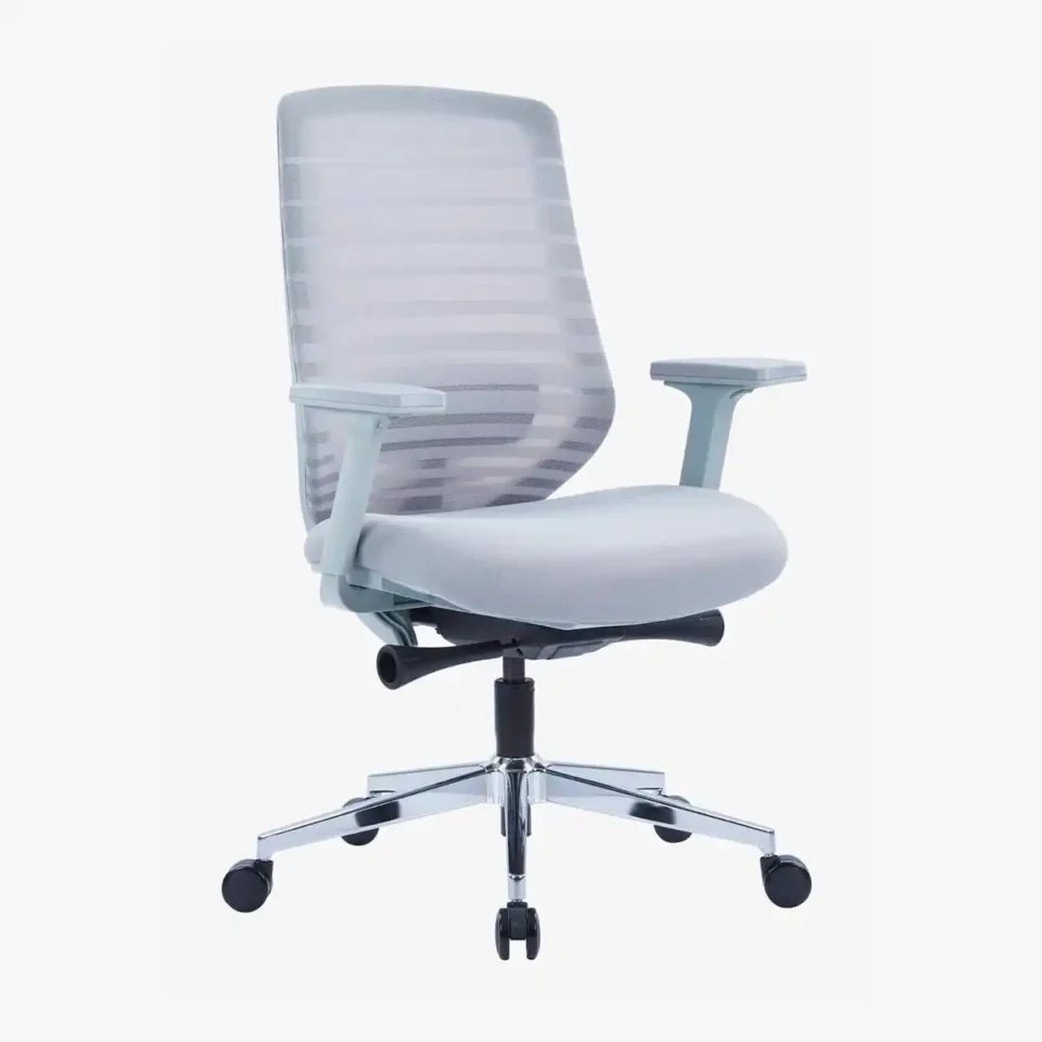 Huges Ergonomic Mesh Chair Medium Back