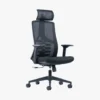 Ellan Ergonomic Mesh Chair High Back