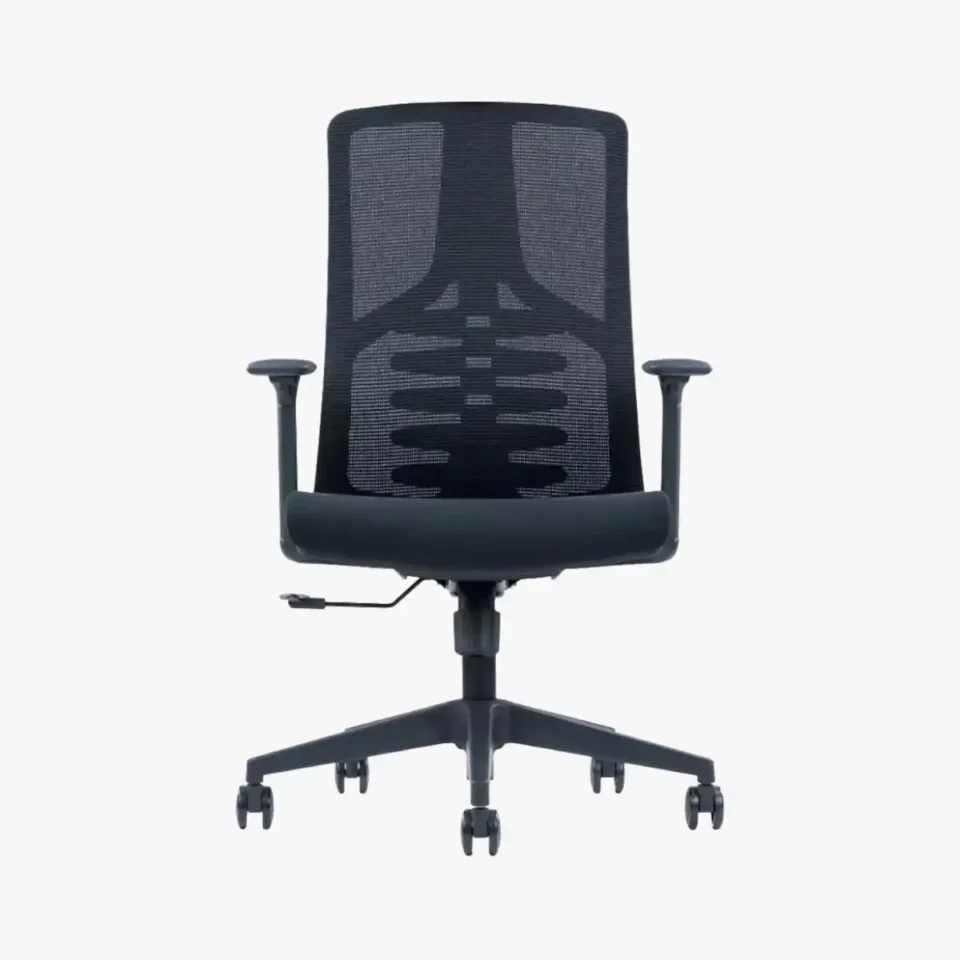 Ellan Ergonomic Mesh Chair Medium Back