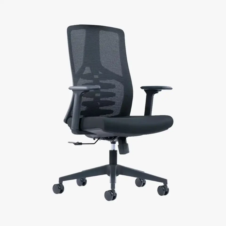 Ellan Ergonomic Mesh Chair Medium Back