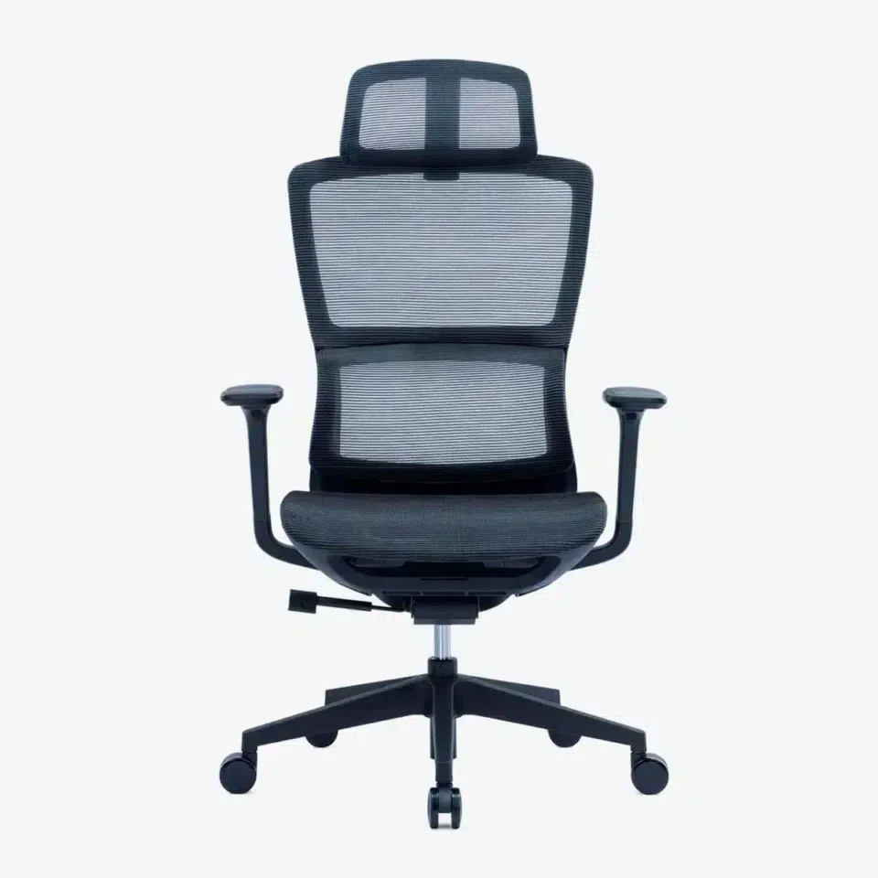 Elissa Ergonomic High Back Chair