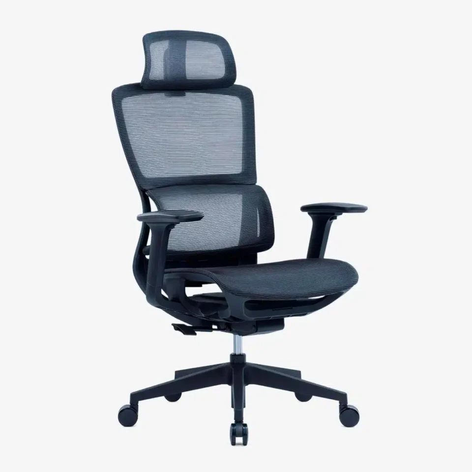 Elissa Ergonomic High Back Chair
