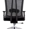 Flinton Ergonomic Mesh Chair High Back
