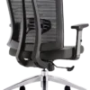 Flinton Ergonomic Mesh Chair Medium Back