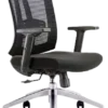 Flinton Ergonomic Mesh Chair Medium Back