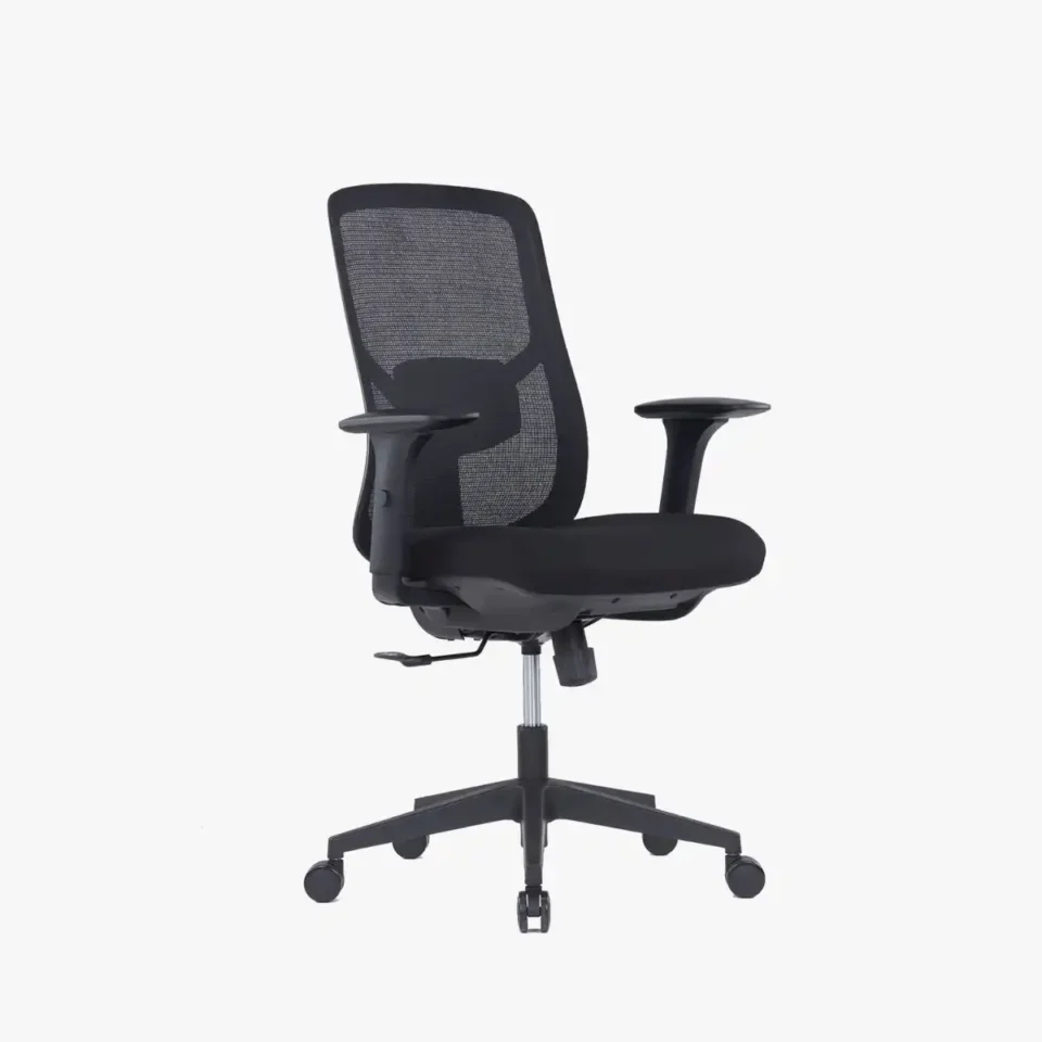 Lumira Medium Back Ergonomic Chair