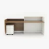 Merrkill Reception Desk
