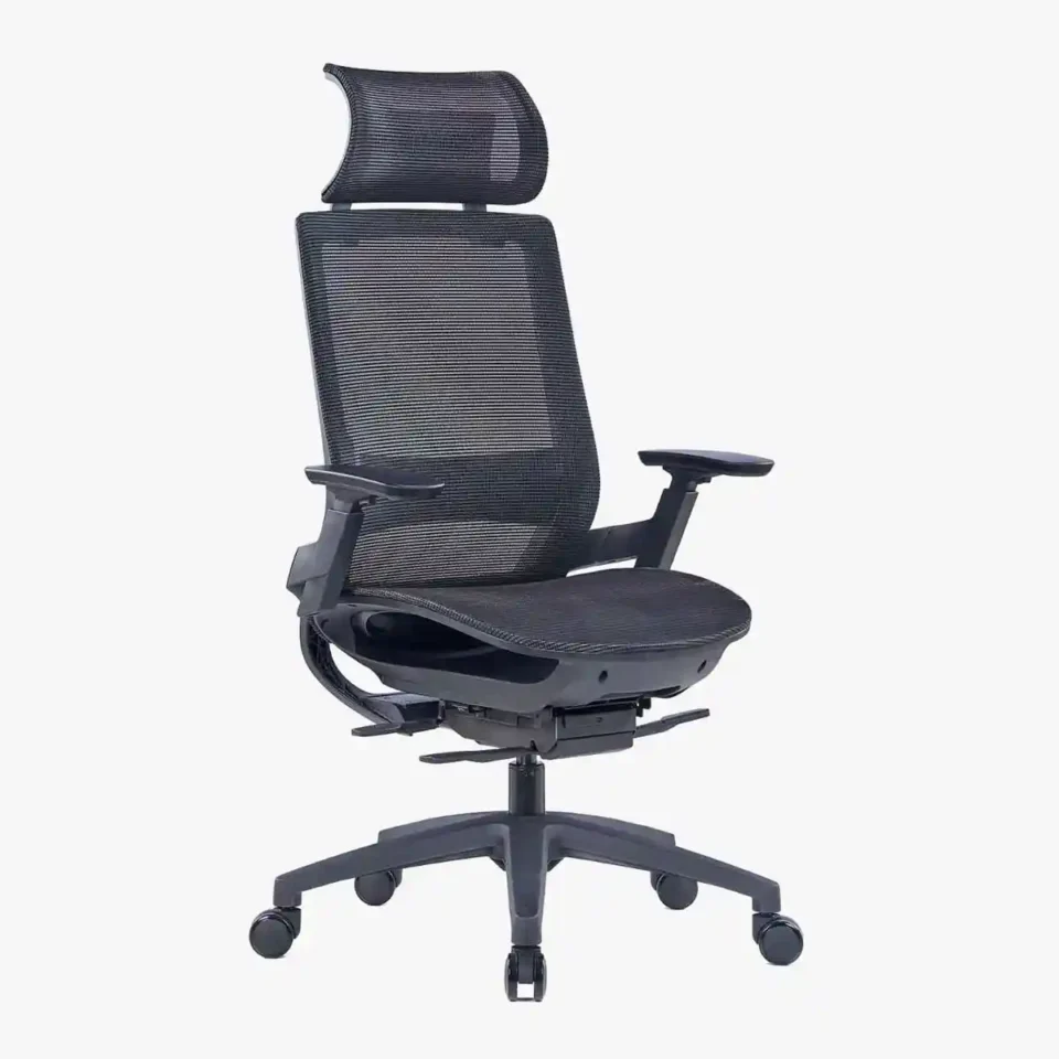 Eberva Ergonomic Mesh Chair High Back…
